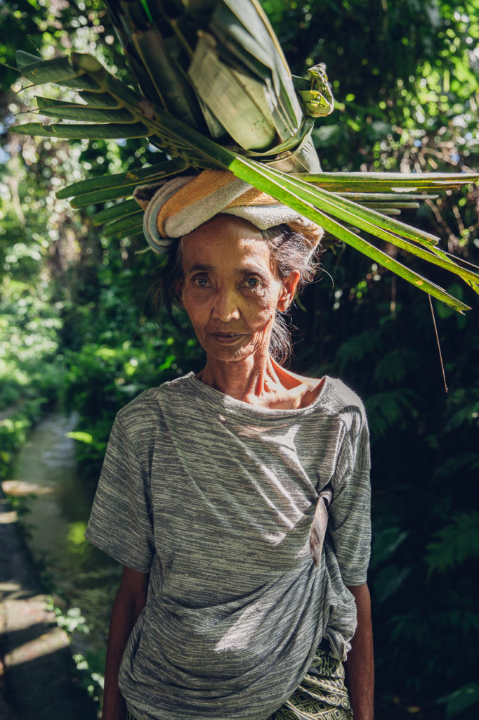 The senior Balinese woman in the field, Ubud, Bali, Indonesia
