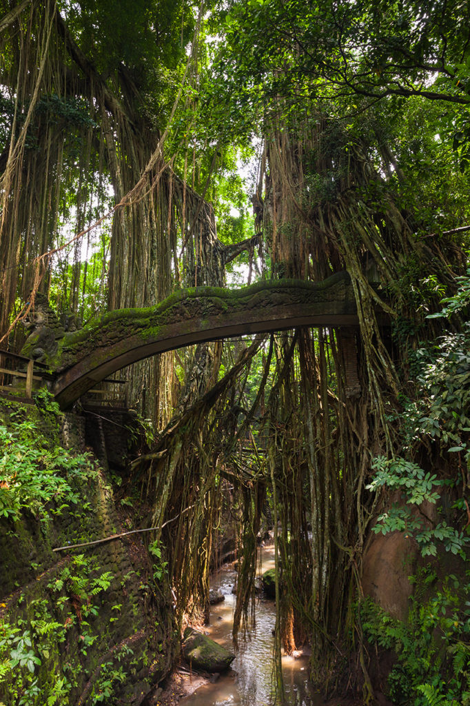 The Dragon Bridge at the Monkey Forest Sanctuary, Ubud, Bali, Indonesia
