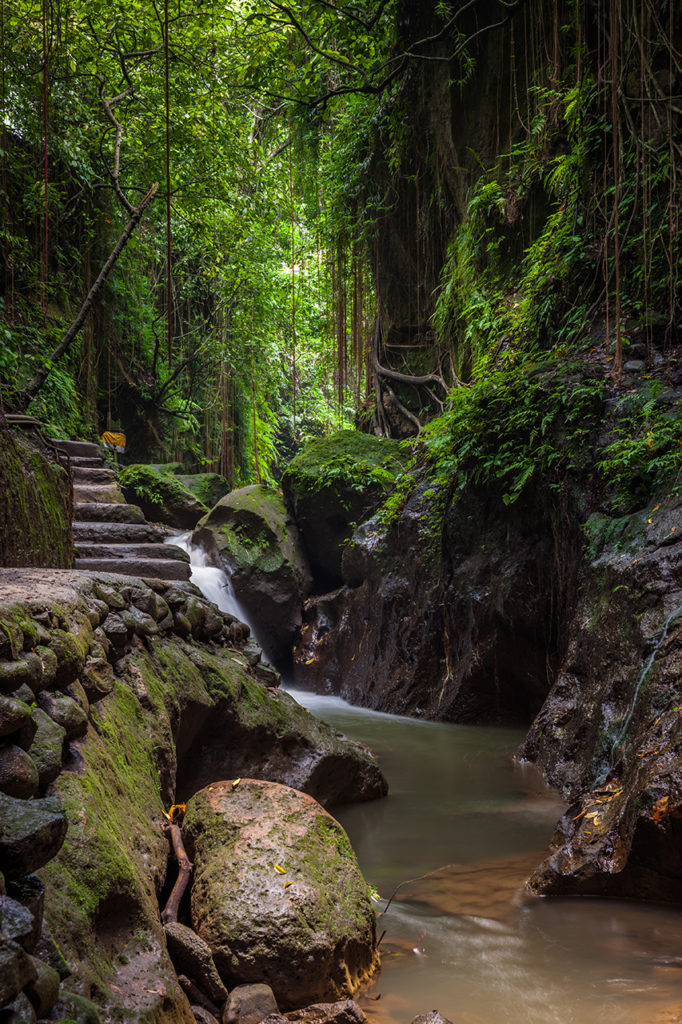 Lush jungles at the Monkey Forest Sanctuary, Ubud, Bali, Indonesia