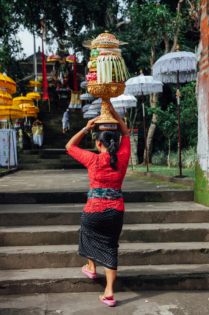 The Balinese woman carries ceremonial offerings on her head, Ubud, Bali, Indonesia