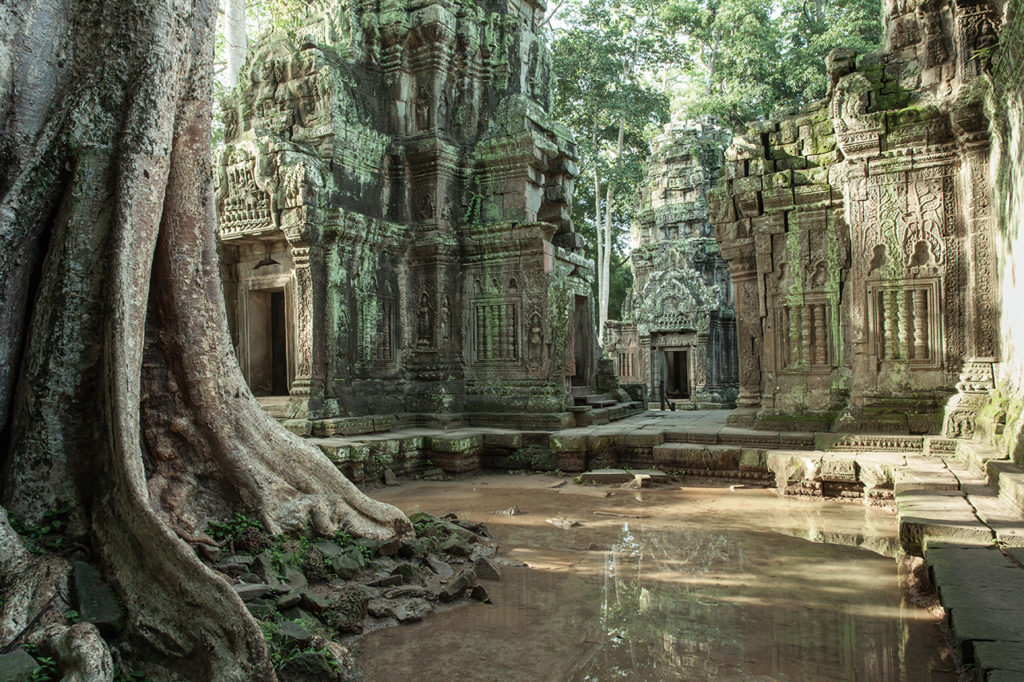 Ta Prohm temple