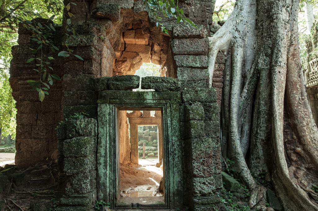 The ruins of Ta Prom at sunrise