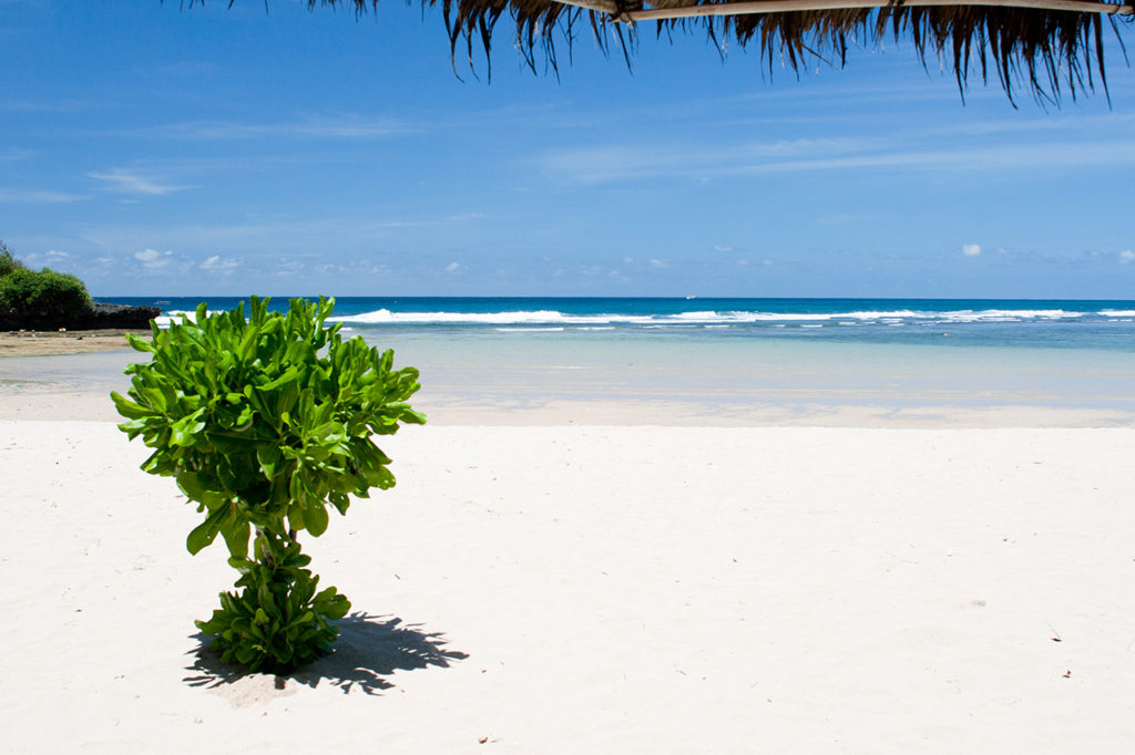 The idyllic beach at the Nusa Dua, Bali, Indonesia