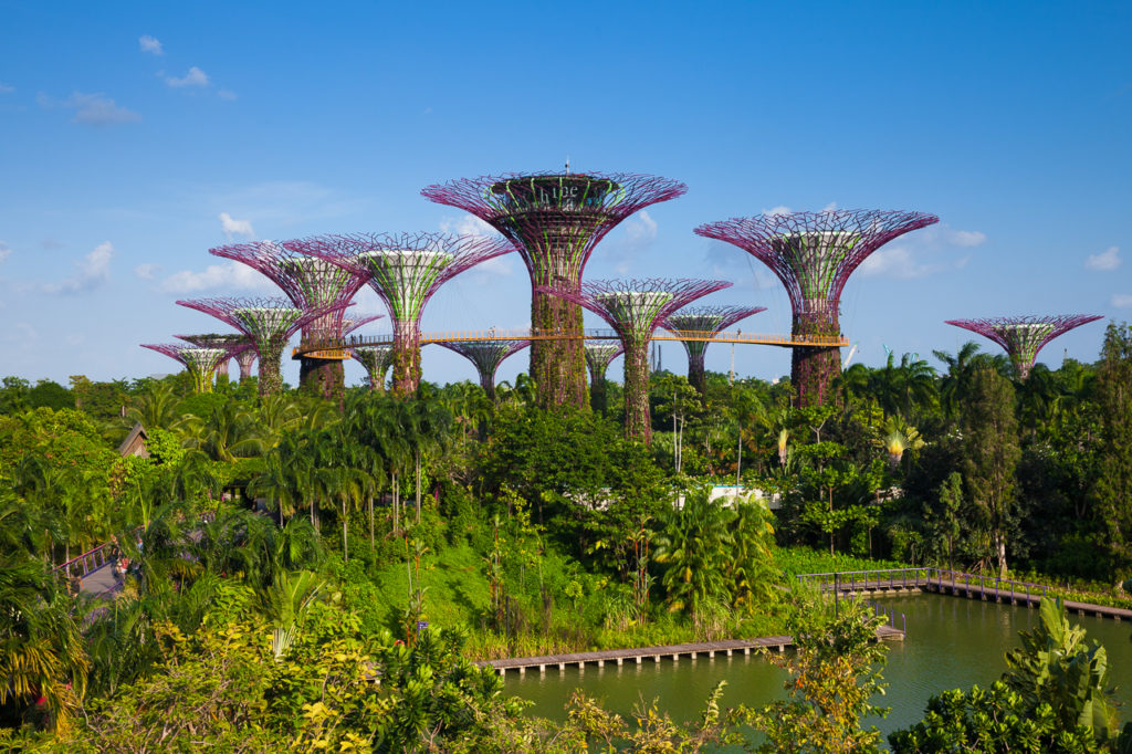 Supertree groove at Gardens By The Bay, Singapore