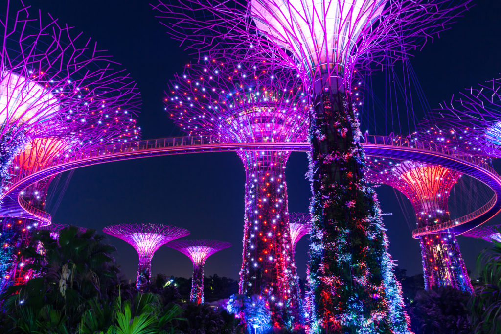 Garden Rhapsody show at Supertree grove, Singapore