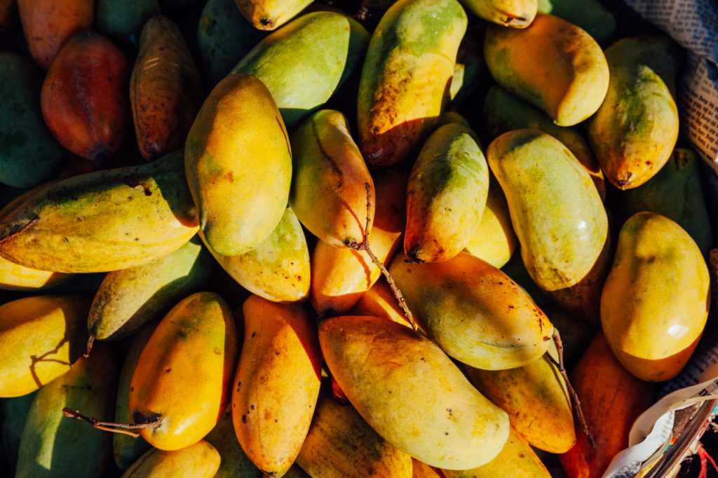 Fruits of Vietnam: Mango (Xoai)