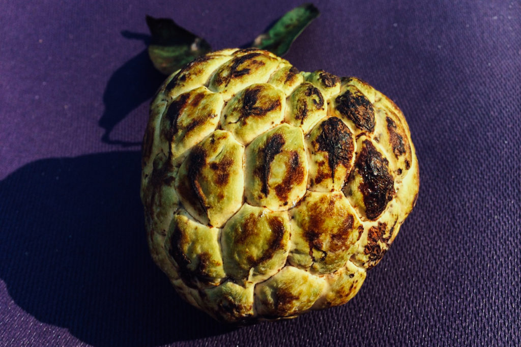 Fruits of Vietnam: Custard apple (Mang Cau)