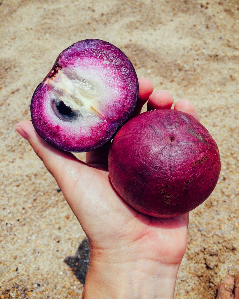 Fruits of Vietnam: Star Apple (Vu Sua)